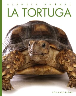 Couverture_La tortuga