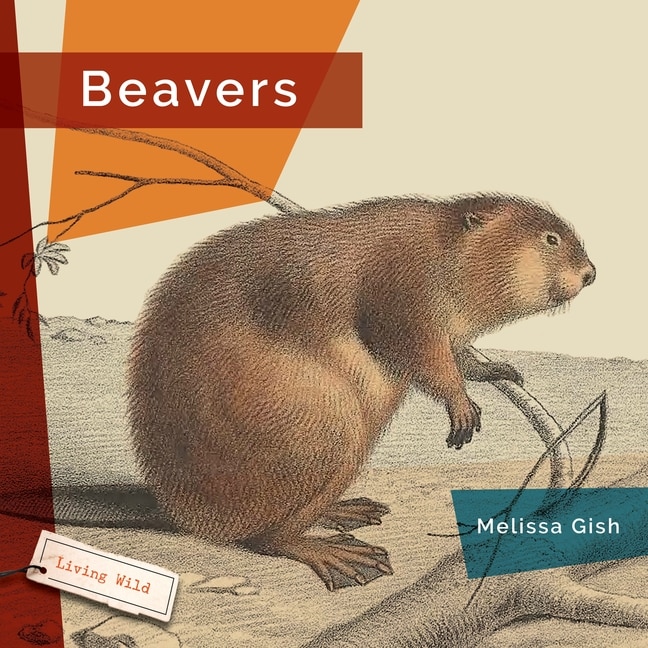 Front cover_Beavers