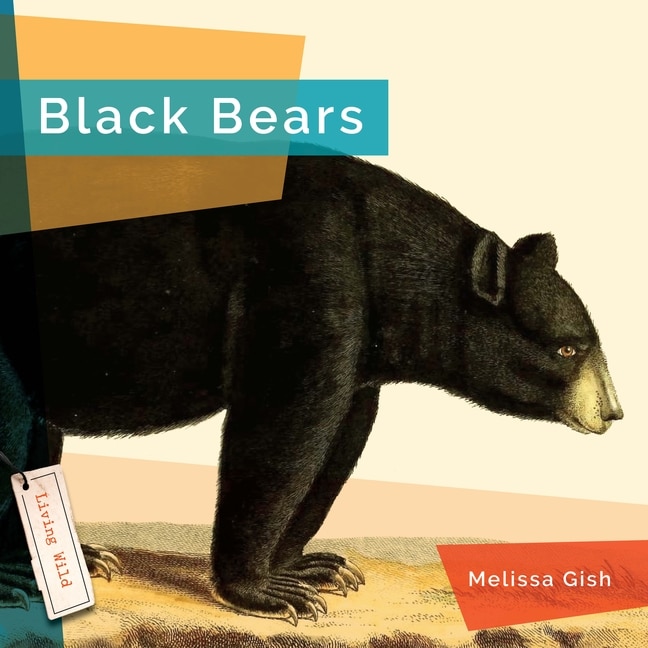 Front cover_Black Bears