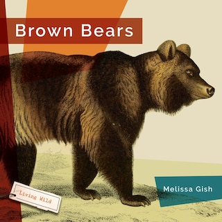 Front cover_Brown Bears