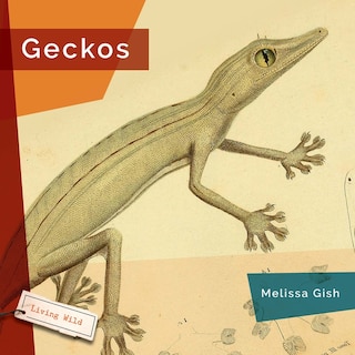 Front cover_Geckos