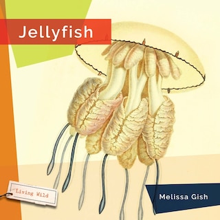 Front cover_Jellyfish