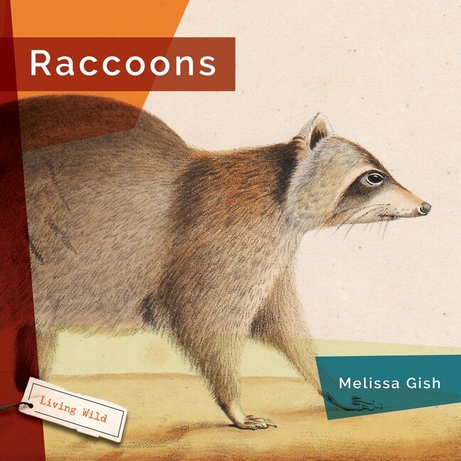 Couverture_Raccoons