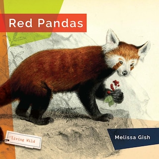 Couverture_Red Pandas