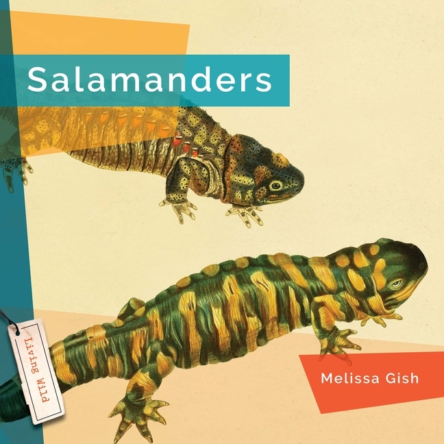 Front cover_Salamanders