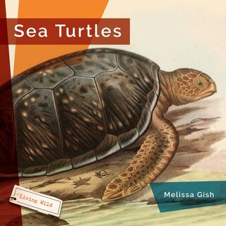Couverture_Sea Turtles