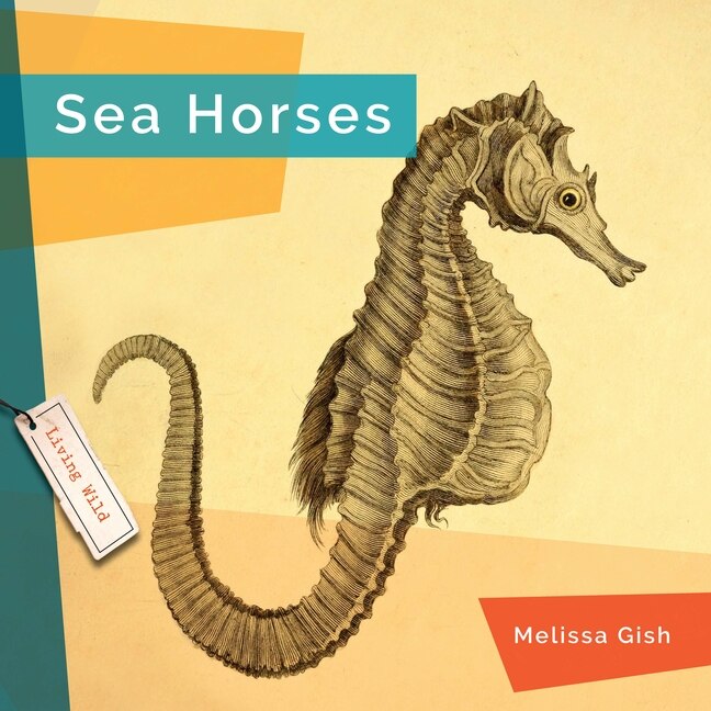 Couverture_Seahorses