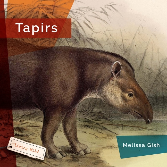 Front cover_Tapirs