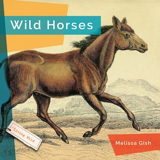 Couverture_Wild Horses