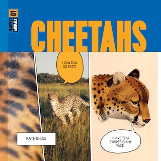 Front cover_Cheetahs