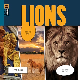 Front cover_Lions