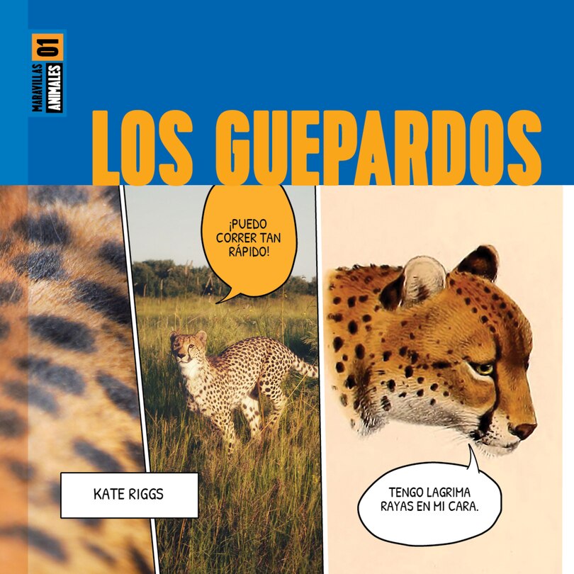 Front cover_Los guepardos