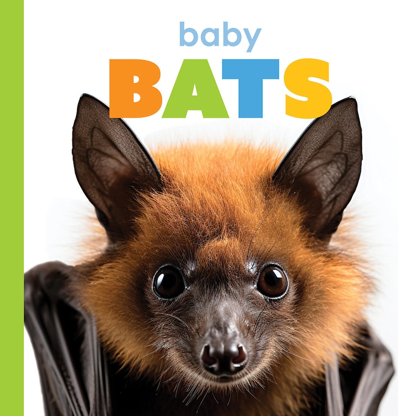 Couverture_Baby Bats