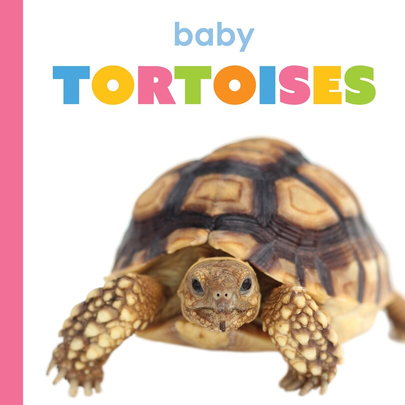 Couverture_Baby Tortoises