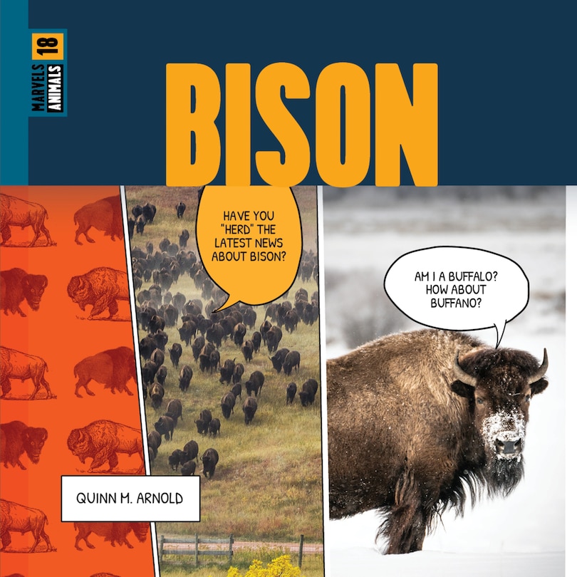 Couverture_Bison