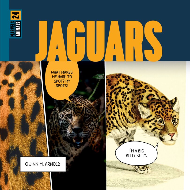 Couverture_Jaguars