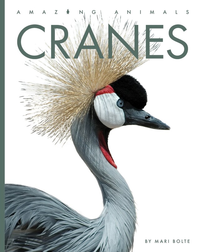 Couverture_Cranes