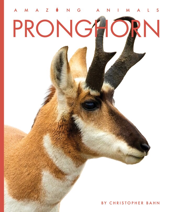 Couverture_Pronghorn
