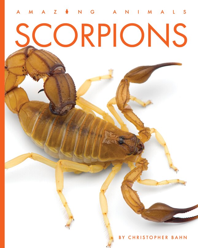 Front cover_Scorpions