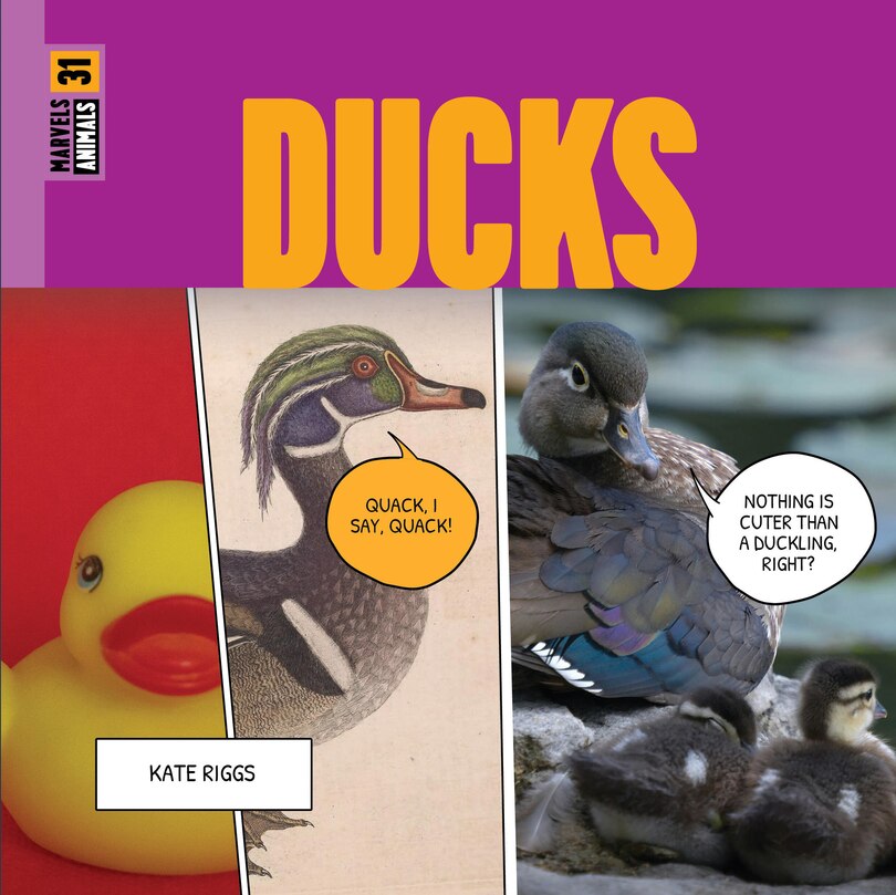 Couverture_Ducks