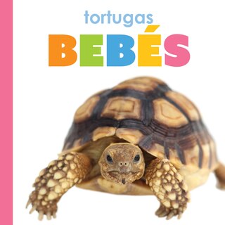 Front cover_Tortugas beb&eacute;s