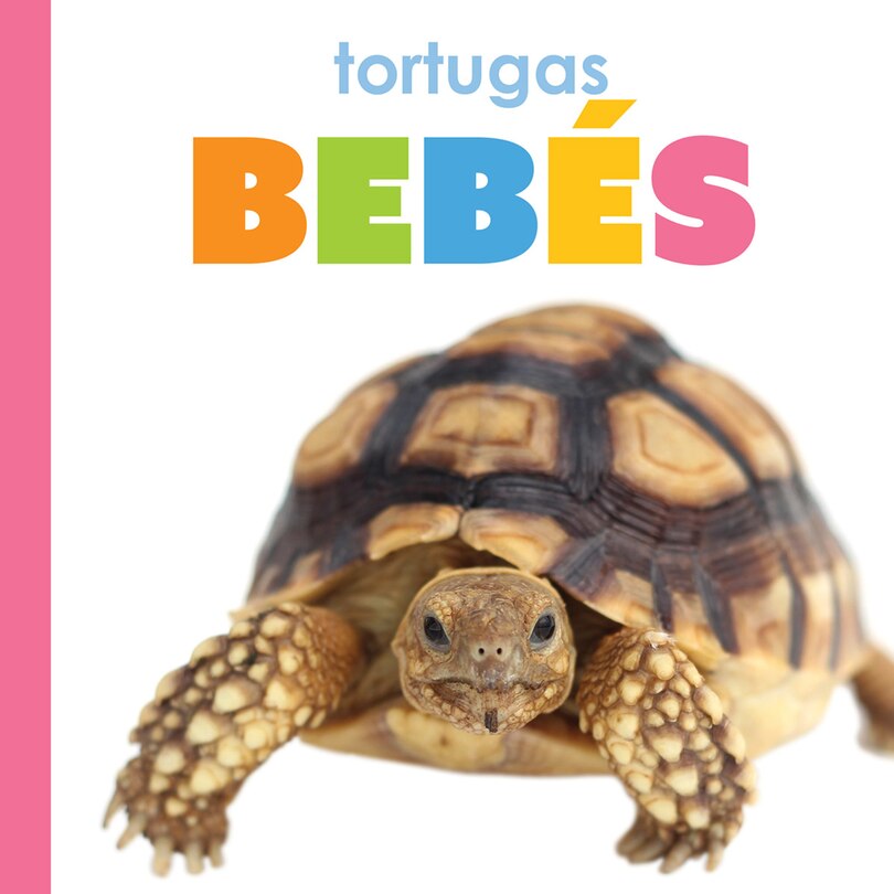 Front cover_Tortugas beb&eacute;s