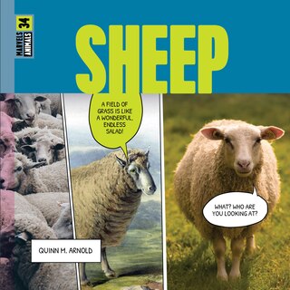 Couverture_Sheep