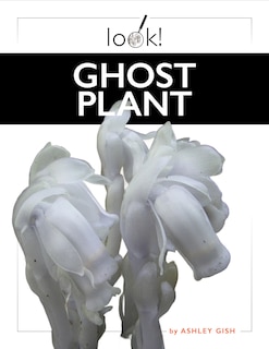 Couverture_Ghost Plant