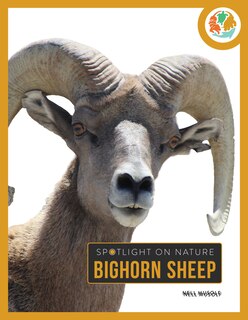 Couverture_Bighorn Sheep