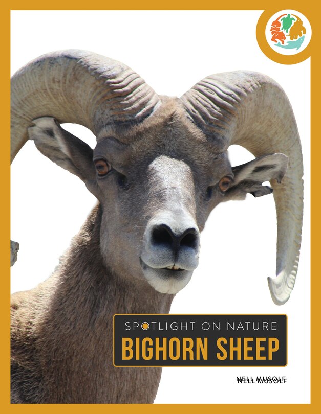 Couverture_Bighorn Sheep