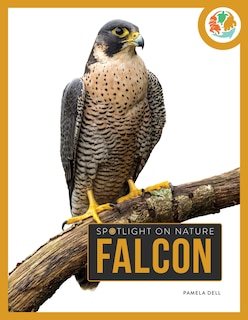 Front cover_Falcon