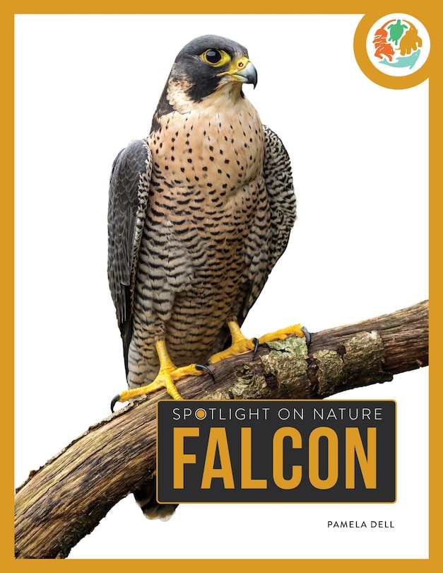 Front cover_Falcon
