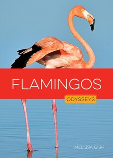 Front cover_Flamingos