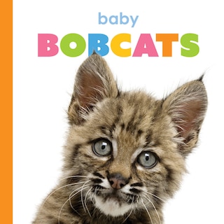 Front cover_Baby Bobcats