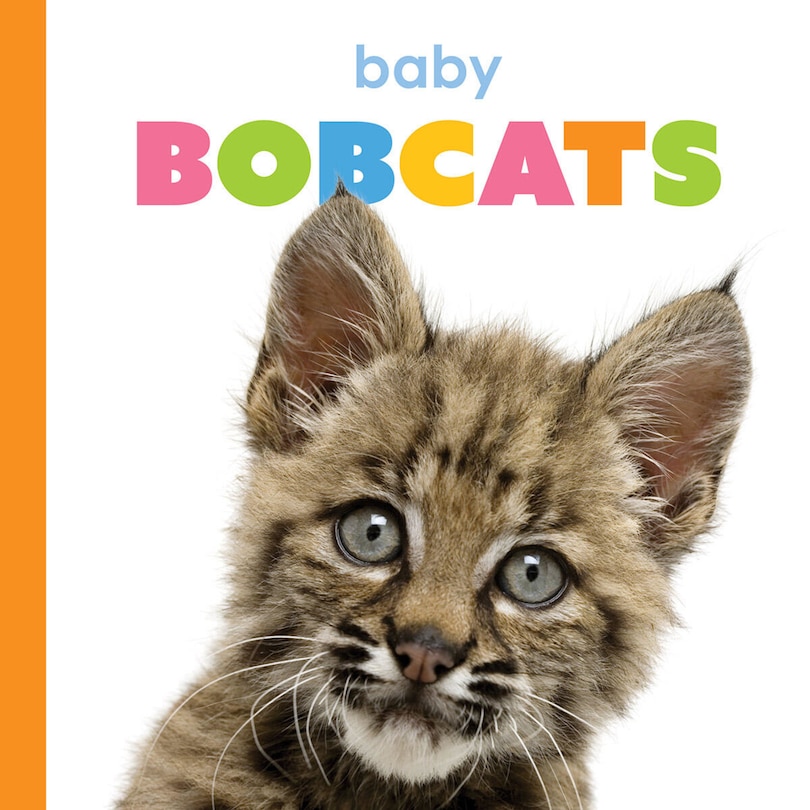 Front cover_Baby Bobcats