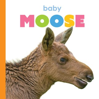 Front cover_Baby Moose