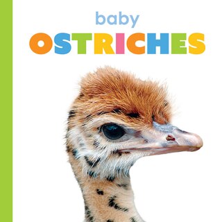Front cover_Baby Ostriches
