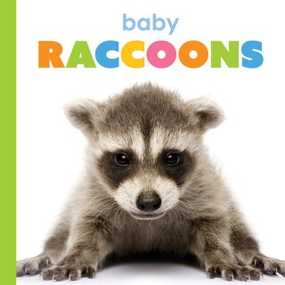Front cover_Baby Raccoons