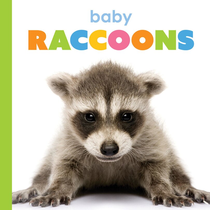 Front cover_Baby Raccoons