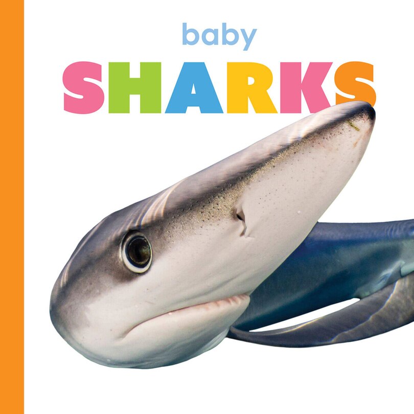 Front cover_Baby Sharks
