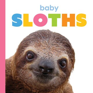 Front cover_Baby Sloths