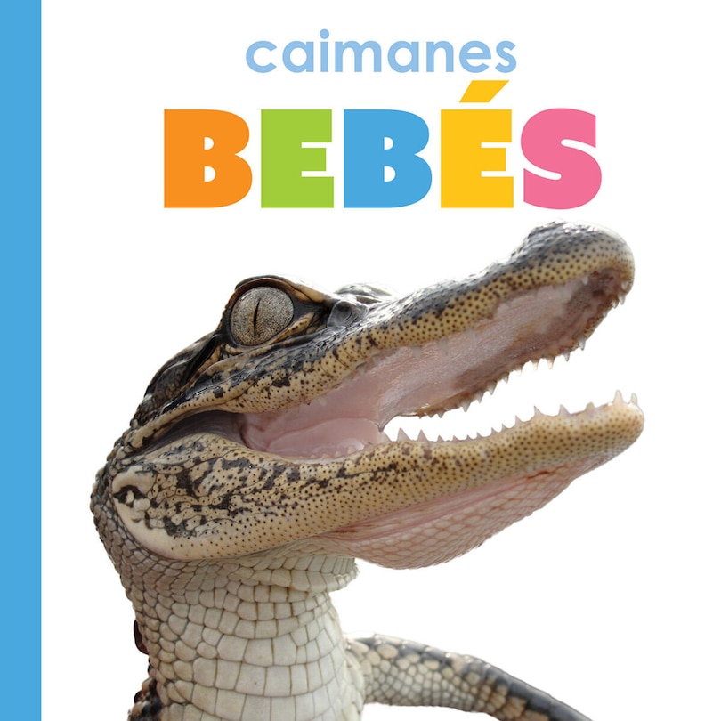 Couverture_Caimanes bebés