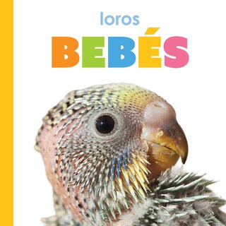 Front cover_Loros bebés