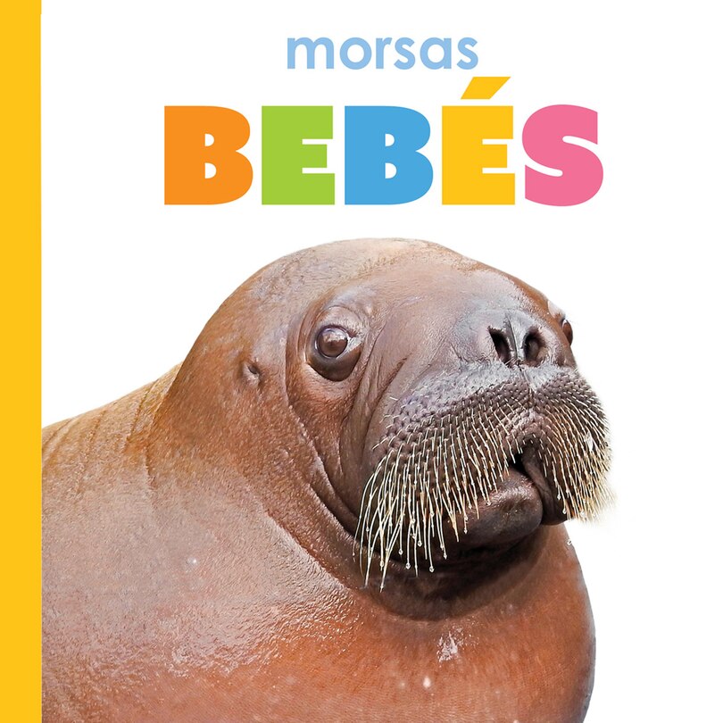 Front cover_Morsas beb&eacute;s