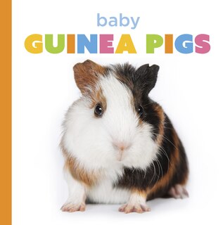 Front cover_Baby Guinea Pigs