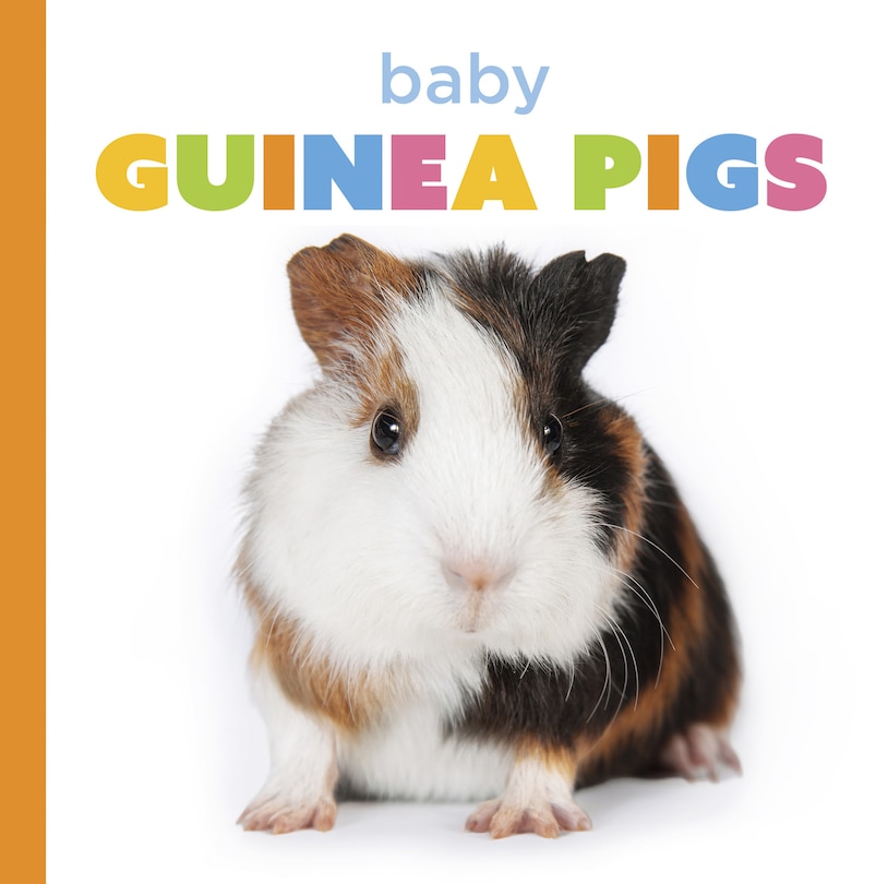 Front cover_Baby Guinea Pigs