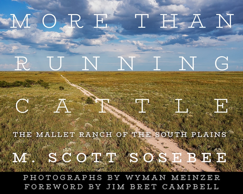 Front cover_More Than Running Cattle