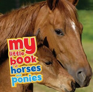 Front cover_My Little Book Of Horses And Ponies