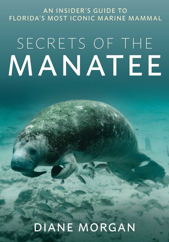 Front cover_Secrets of the Manatee