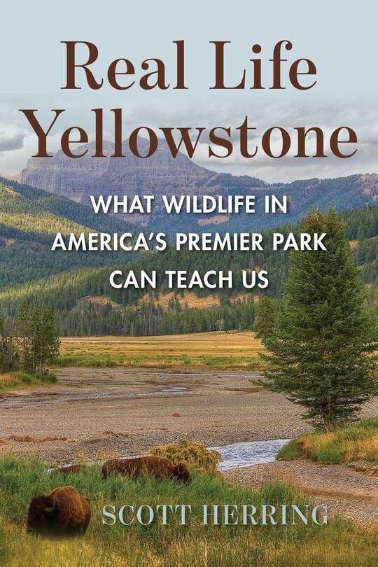 Front cover_Real Life Yellowstone